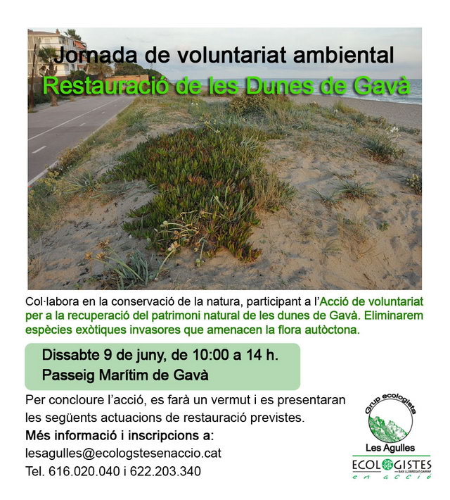 Cartel de la jornada de restauraci�n de les dunas de Central Mar (Gav� Mar) organizada por el grupo ecologista 'Les Agulles' (9 Junio 2012)